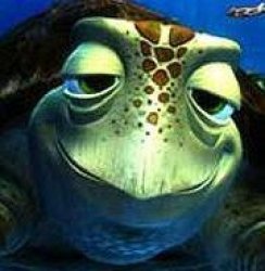 Finding Nemo turtle Meme Template