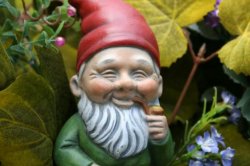 Sarcastic Gnome Meme Template