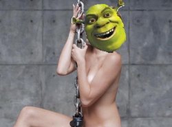 Miley Cyrus Shrek Meme Template