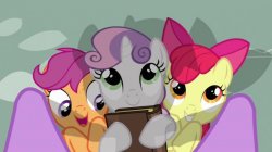 cutie mark crusaders beneath twilight in my little pony Meme Template