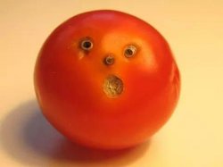 tomato man Meme Template