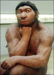 Neanderthal Meme Template