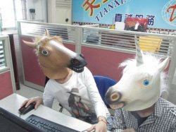 Unicorn Horse Office Computer Meme Template