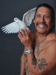 Danny trejo  Meme Template