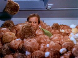 Kirk Tribbles Meme Template