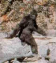 Bigfoot  Meme Template