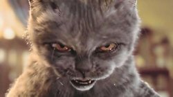 Evil Cat Meme Template