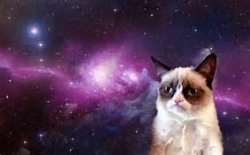 galaxy grumpy cat Meme Template