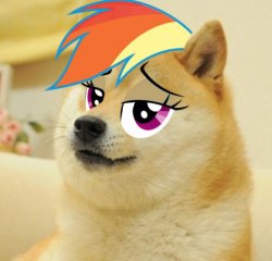 Rainbow Doge Meme Template