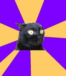 Social Anxiety Cat Meme Template