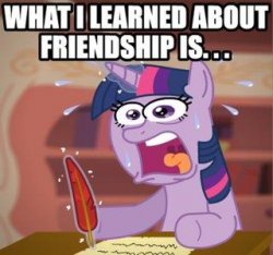 what i learned about friendship is... Meme Template