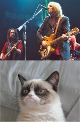 Free Fallin' Grumpy Cat Meme Template