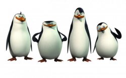 penguins Meme Template