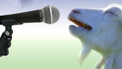goat singing Meme Template