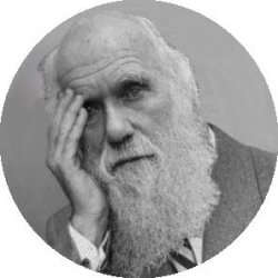 Darwin Facepalm Meme Template