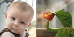 Skeptical Kermit Meme Template