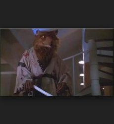 splinter  Meme Template