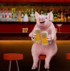 beerpig Meme Template