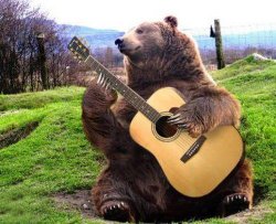 bear with guitar  Meme Template