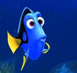 dory forgets Meme Template