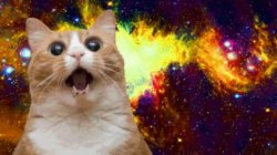 space cat Meme Template