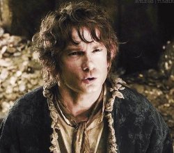 Hobbit  Meme Template