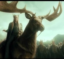 Hobbit Meme Template