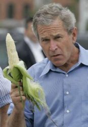 Bush Corn Meme Template