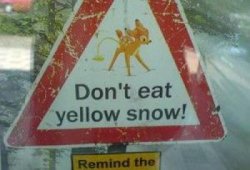 yellow snow Meme Template