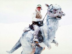 Tauntaun Luke Meme Template