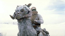 TaunTaun Meme Template