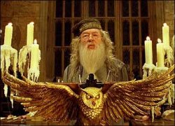dumbledore is short Meme Template