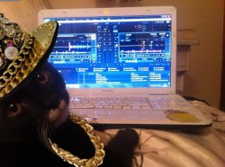 DJ Cat Bling Meme Template