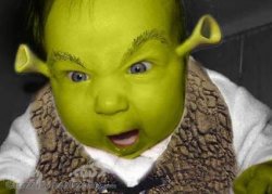 babbyshrek.jpg Meme Template