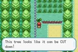 Pokemon Tree Meme Template