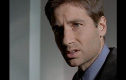 Fox Mulder Disgusted Meme Template