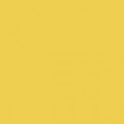 Yellow Background Meme Template