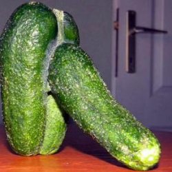 penis cucumber pepino Meme Template