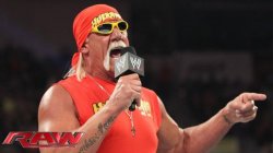 Hulkster and the WWE universe Meme Template