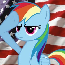 American Rainbow Dash Meme Template