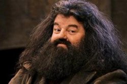 Hagrid Meme Template