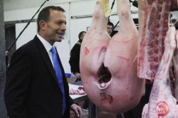 Abbott and the Pigs Arse Meme Template