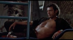 jeff goldblum Meme Template
