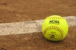 Softball Meme Template