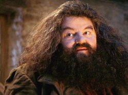 hagrid Meme Template