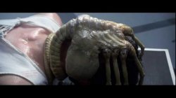 Face Hugger Meme Template