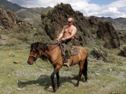 Shirtless Putin Meme Template