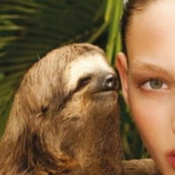 Creepy Sloth Meme Template
