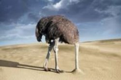 ostrich head in sand Meme Template