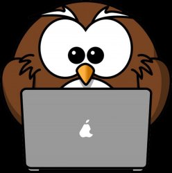 owl laptop Meme Template